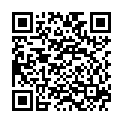 QR VT IMPULS AD KKL2 VI p/l gFs caramel