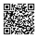 QR VT IMPULS AD KKL2 I n/s gFs schwarz