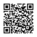 QR VT IMPULS AD KKL2 I p/s gFs schwarz