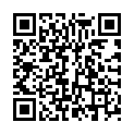 QR VT IMPULS AD KKL2 V p/l gFs schwarz