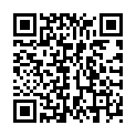 QR VT IMPULS AD KKL3 VI n/l gFs schwarz