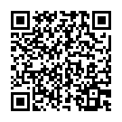 QR NUTRAMINO XL Proteinbar Schokolade