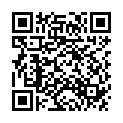 QR NUVITA DreamWizard Schwanger Stillkiss grau Sterne