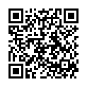 QR BORT StabiloGen Eco 7 mit Haftband kurz silber