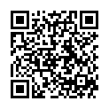 QR PARI Filter Pads