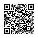 QR HA-RA Boden-Faser 30cm Nano Gold-Igel