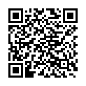 QR SOLARISVITAL Moosbeerensaft Kaps Bio