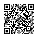 QR BORT ImmoXpress 20° 40cm schwarz