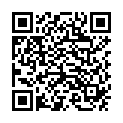 QR HA-RA Ersatzfaser f Fenster-Wischer 38cm Standard