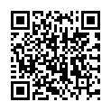 QR DR.HAUSCHKA Тональный крем 04 лесной орех