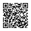 QR RUBIS Pinzette schräg Inox Lavender