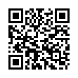 QR RUBIS Pinzette schräg Leopard