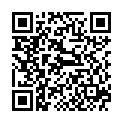 QR SPAGYROS SPAGYR Hypericum perforatum