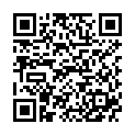 QR SPAGYROS SPAGYR Artemisia vulgaris