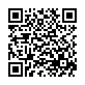 QR PHYTOMED SCHÜSSLER Nr11 Silicea Salbe D 6