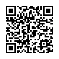 QR TIMASK Einweg-Medizinmaske Typ IIR schotti