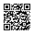 QR FURTERER Style Haarschaum