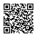 QR PARAKITO браслет взрослый синий