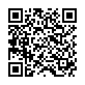 QR GOLDEN BEARDS Bartbürste klein