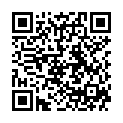 QR SONNENTOR Schwarztee-Pfirsich Sirup BIO