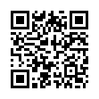 QR LE BF Bürste aus Holz
