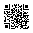 QR ZHENDE Atemschutzmaske FFP2