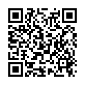 QR BITTERLIEBE Kräutertee Gute Nacht Bio