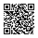 QR PRANAROM Chinesischer Zimtbaum Äth/Öl BIO