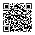 QR AROMALIFE Räuchersieb 10cm Edelstahl