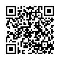 QR VEPO Antibeschlag Microfaser Tuch 10h