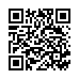 QR HA-RA Brillentuch grau