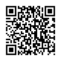 QR SENI Fix Comfort Netzhosen L