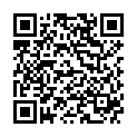 QR BAUCKHOF Tortenmischung Schoko