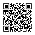 QR SONNENTOR Зимний ночной чай (ы) ОРГАНИЧЕСКИЙ