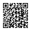QR TIMASK Einweg-Medizinmaske Typ IIR Leopard