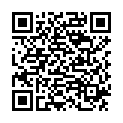 QR BASTOS Wöchnerinnenvorlage 30x10cm Vlies