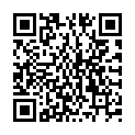 QR Чай MORGA Chai Lovers с органическими почками