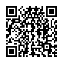 QR BASTOS Wöchnerinnenvorlage 30x10cm Vlies