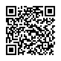 QR BORT 100 AG KKL2 II offen normal schw Nopp