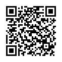 QR BORT 100 AG KKL2 III offen normal schw Nopp