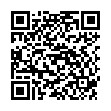 QR BORT 100 AG KKL2 VI offen normal schw Nopp