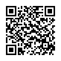 QR BORT 100 AG KKL2 III offen kurz schw Nopp