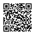 QR BORT 100 AG KKL2 II offen w-n schw Nopp