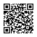 QR BORT 100 AG KKL2 I geschl w-k schw Nopp