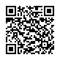 QR BORT 100 AG KKL2 II geschl w-k schw Nopp