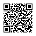 QR BIOKOSMA Shampoo Balance Brennnessel BIO