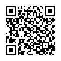 QR L'ACTION COSMETIQUE Haarfärbestift braun