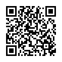 QR GILLETTE Blue II Einwegrasierer (neu)