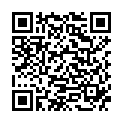 QR 3M Haarschneidegerät Professional