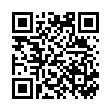 QR OB Periodenslip XL/XXL